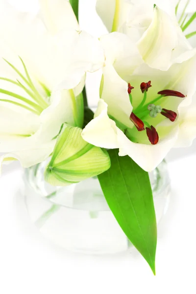 Beautiful lily in vase isolated on white — Stock Photo, Image