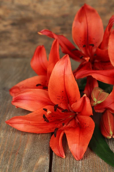 Beautiful lily background — Stock Photo, Image