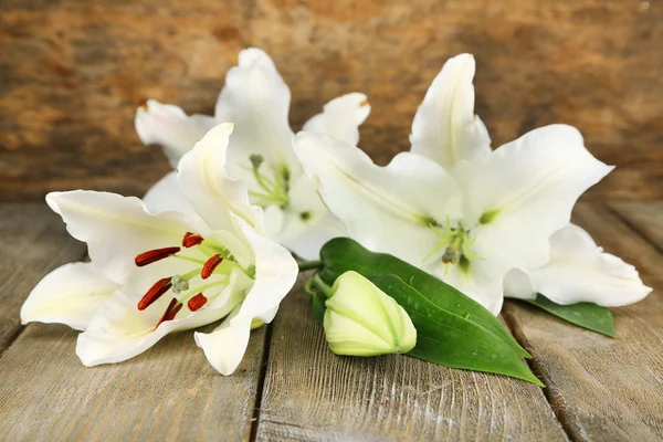 Beautiful lily background — Stock Photo, Image