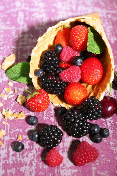 Different ripe berries — Stock Photo, Image