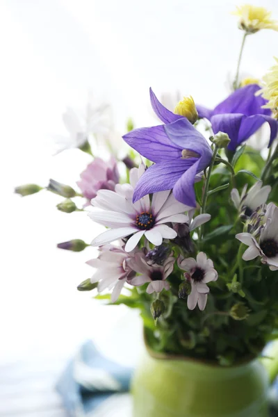 De belles fleurs à la maison — Photo