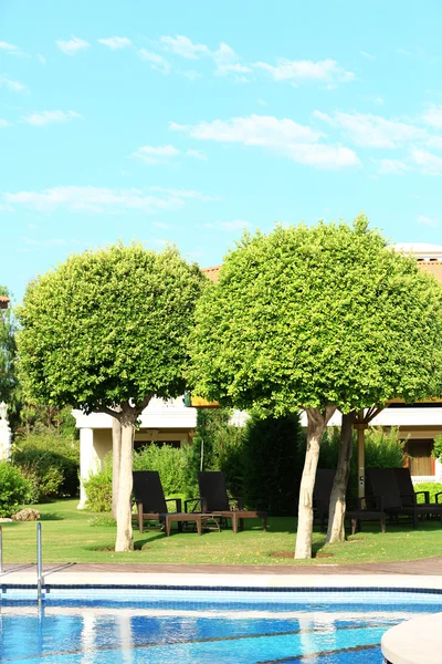 Bel arbre au bord de la piscine de l'hôtel — Photo