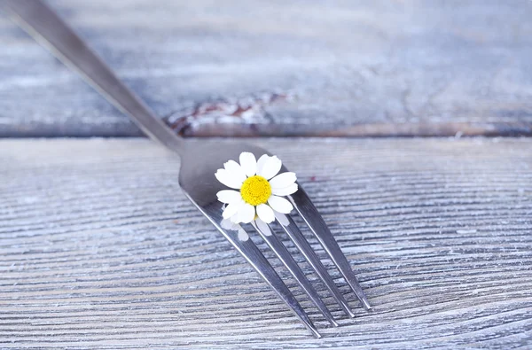 Tenedor con flor de margarita —  Fotos de Stock