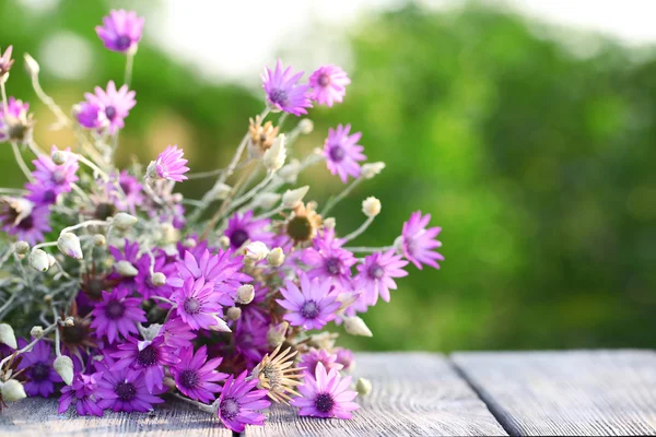 Prachtige wilde bloemen — Stockfoto