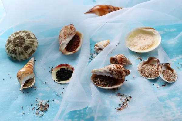 Different sea salt and shells — Stock Photo, Image