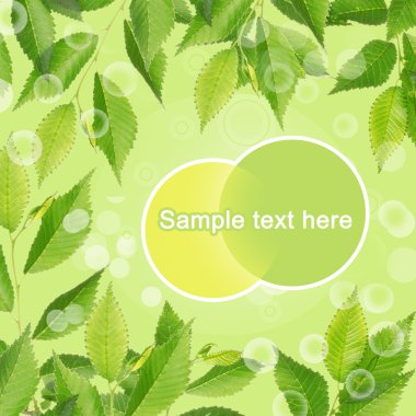 Yeşil yaprakların çerçevesi