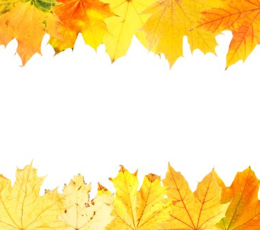 farklı yaprak çerçeve