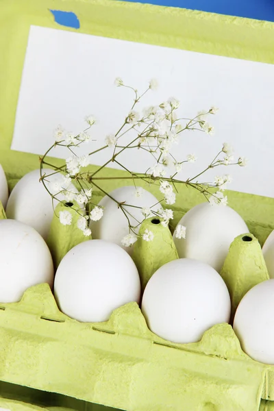 Eier im Papierkorb in Großaufnahme — Stockfoto