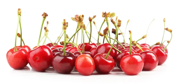 Cerejas doces — Fotografia de Stock