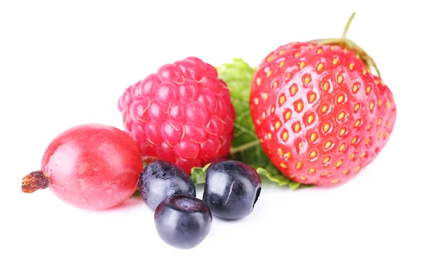 Forest berries — Stock Photo, Image