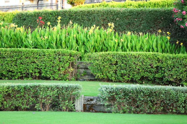 Beautiful landscaping in garden — Stock Photo, Image