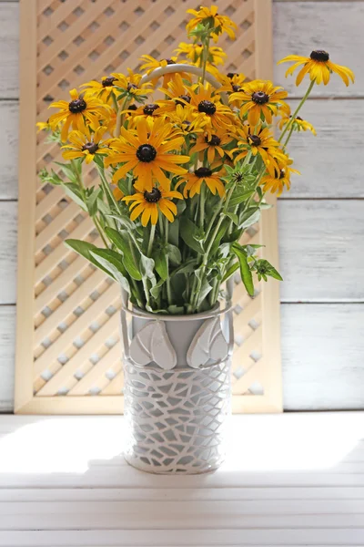 Beautiful Rudbeckia flowers — Stock Photo, Image