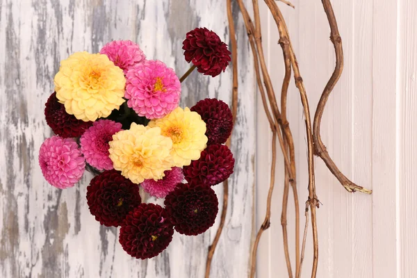 Dahlia flowers in vase — Stock Photo, Image