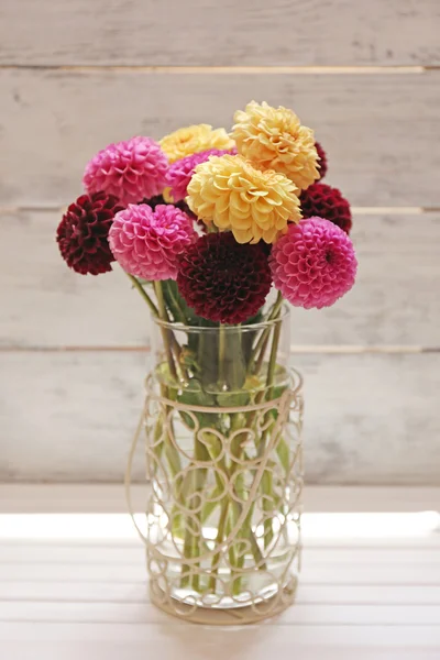 Dahlienblüten in der Vase — Stockfoto