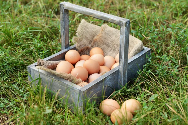 Ovos em cesta de madeira na grama ao ar livre — Fotografia de Stock