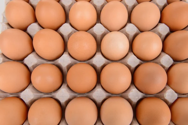 Eggs in paper tray close-up — Stock Photo, Image