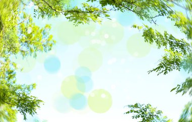 Yeşil yaprakların çerçevesi