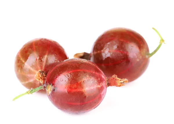 Gooseberry segar terisolasi di atas putih — Stok Foto