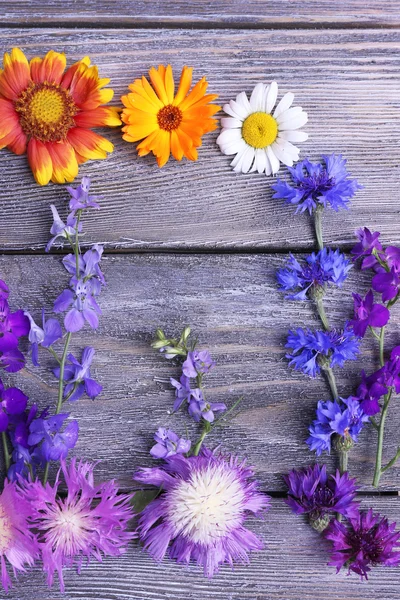 Красивые полевые цветы на деревянном фоне — стоковое фото