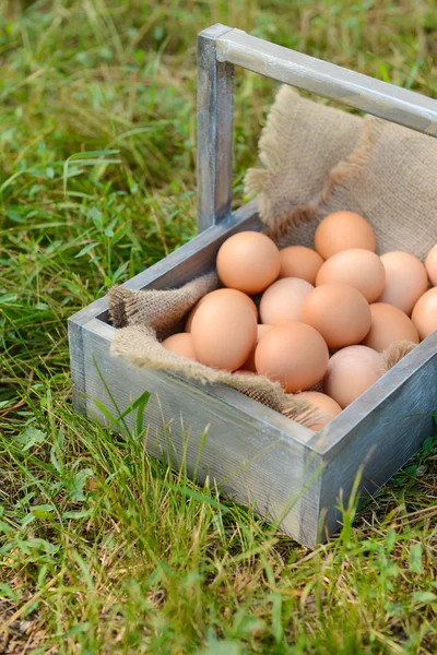 Eieren in houten mandje — Stockfoto