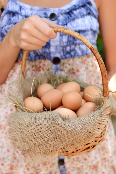 Eieren in rieten mand — Stockfoto