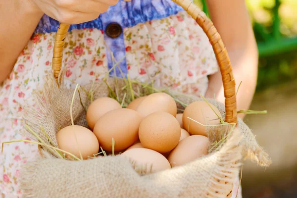 Huevos en canasta de mimbre — Foto de Stock