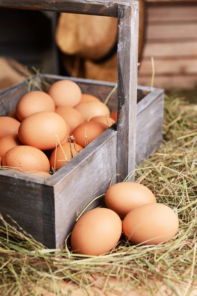 Huevos en cesta de madera — Foto de Stock