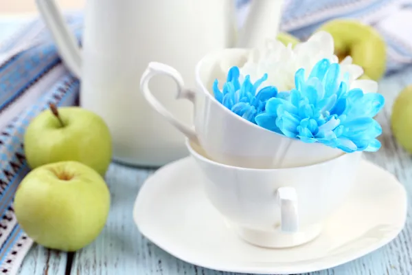 Bílá a modrá chryzantéma — Stock fotografie