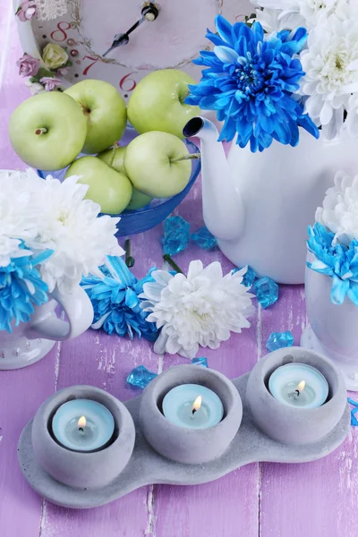 Crisantemo bianco e blu — Foto Stock