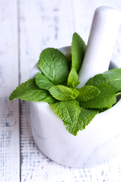 Fresh green mint — Stock Photo, Image