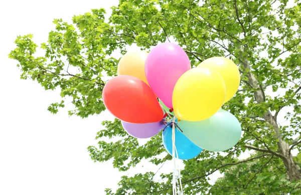 Balloons flying in park — Stock Photo, Image