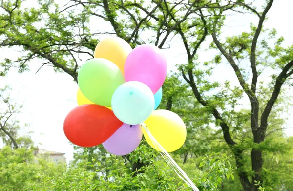 气球飞行在公园里 — 图库照片