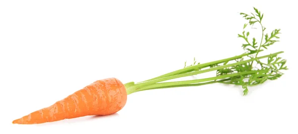 Φρέσκα καρότα με φύλλα που απομονώνονται σε λευκό — Φωτογραφία Αρχείου