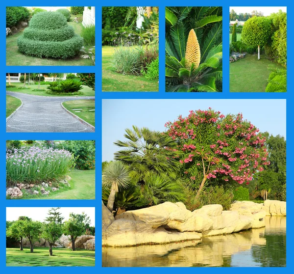 Beautiful nature landscaping — Stock Photo, Image