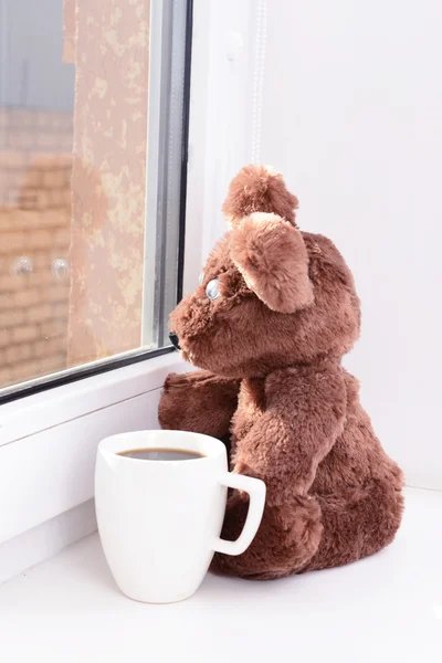 Игрушечный медведь смотрит в окно — стоковое фото