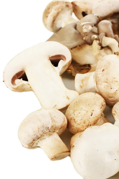 Świeże grzyby izolowane na białym — Zdjęcie stockowe