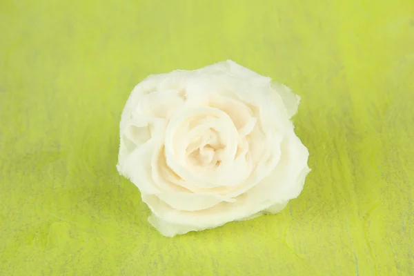 Sugar rose, on color background — Stock Photo, Image