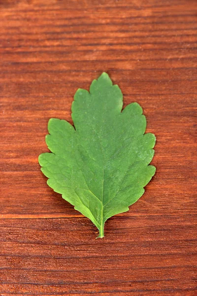 Jaskółcze ziele na drewniane tła — Zdjęcie stockowe