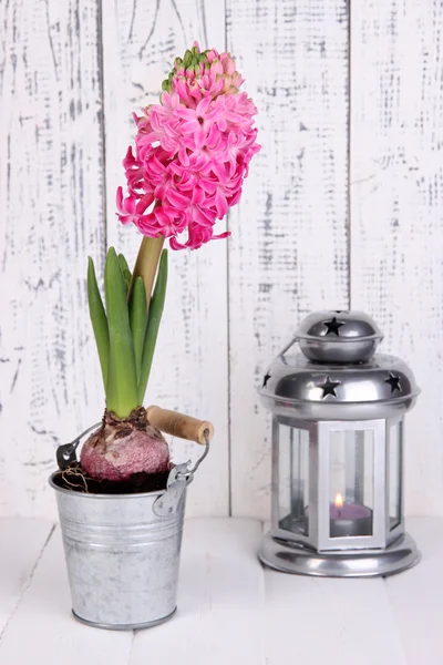 Pink hyacinth in bucket with decorative lantern on table on wooden background — Stock Photo, Image