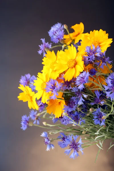 Piękne kwiaty dzikiego — Zdjęcie stockowe