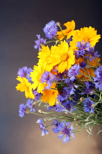 Beautiful wild flowers — Stock Photo, Image