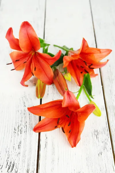 Beautiful lily on wooden background — Stock Photo, Image