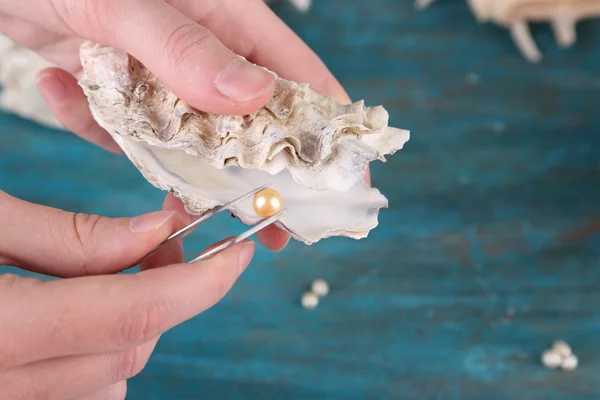 Hand with tweezers holding pearl and oyster — Stock Photo, Image