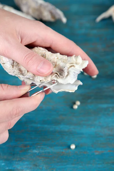 Hand with tweezers holding pearl and oyster — Stock Photo, Image