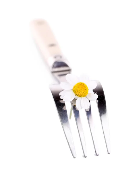 Fork with daisy flower — Stock Photo, Image