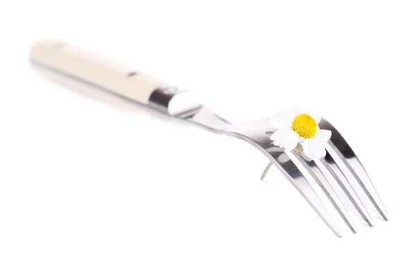 Fork with daisy flower — Stock Photo, Image