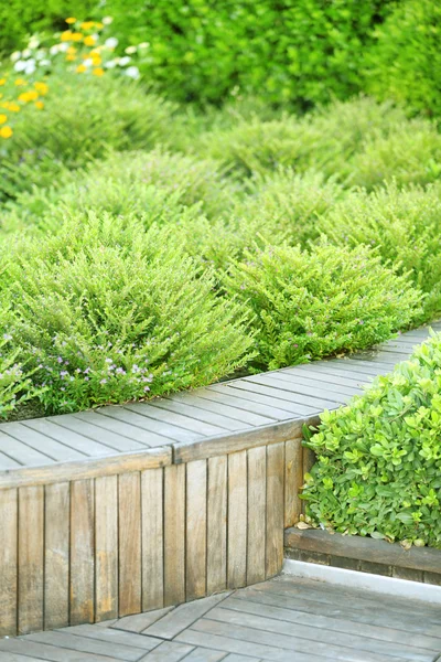 Landscaping at green park — Stock Photo, Image