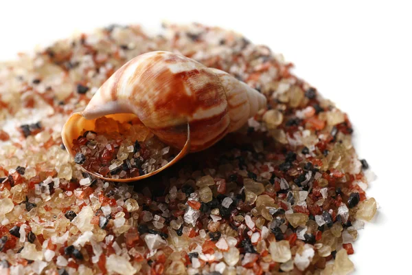 Havssalt och musselskal, närbild — Stockfoto