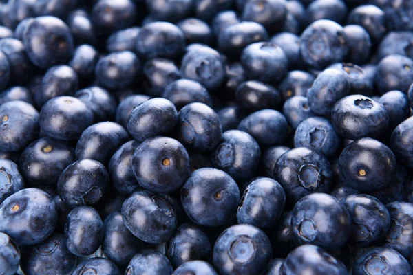 Köstliche Blaubeeren aus nächster Nähe — Stockfoto