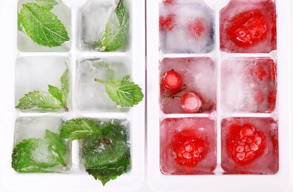 Ледяные кубики с лесными ягодами, мятные листья в лотке для льда, крупным планом — стоковое фото